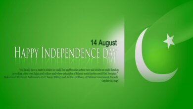 Independent day quotes