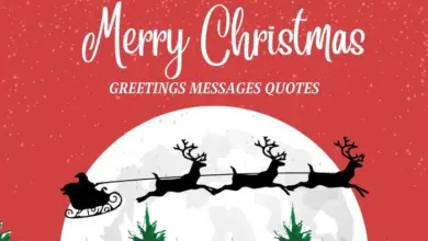 Inspirational Merry Christmas Greetings Messages Quotes