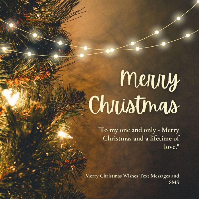 Merry Christmas Quotes for Someone Special