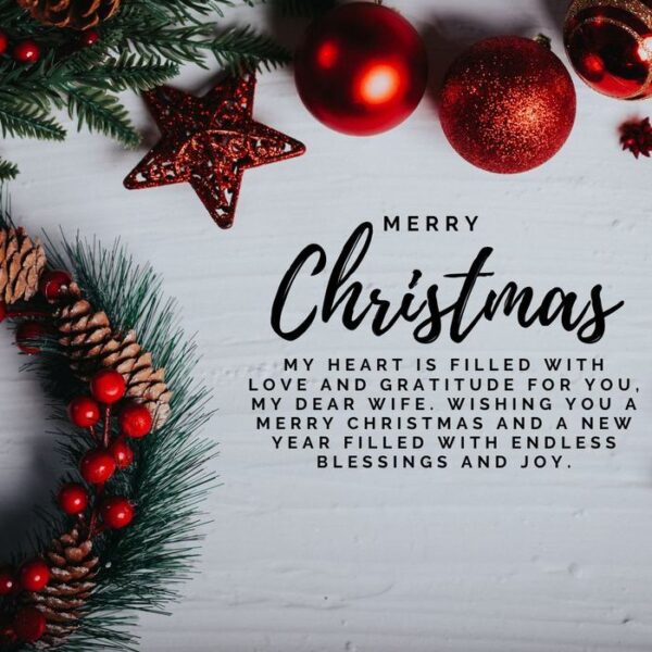 290+ Merry Christmas SMS, Wishes & Quotes for Friends & Family