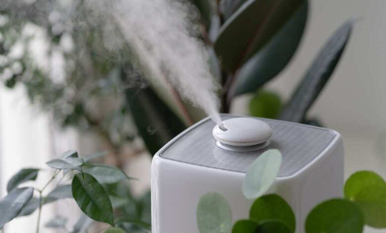 a white humidifire spraying moisture surrounded by green leaves