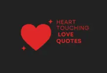 Best Heart Touching Quotes Words that will stir your soul