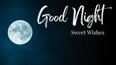 Sweet Good Night Wishes